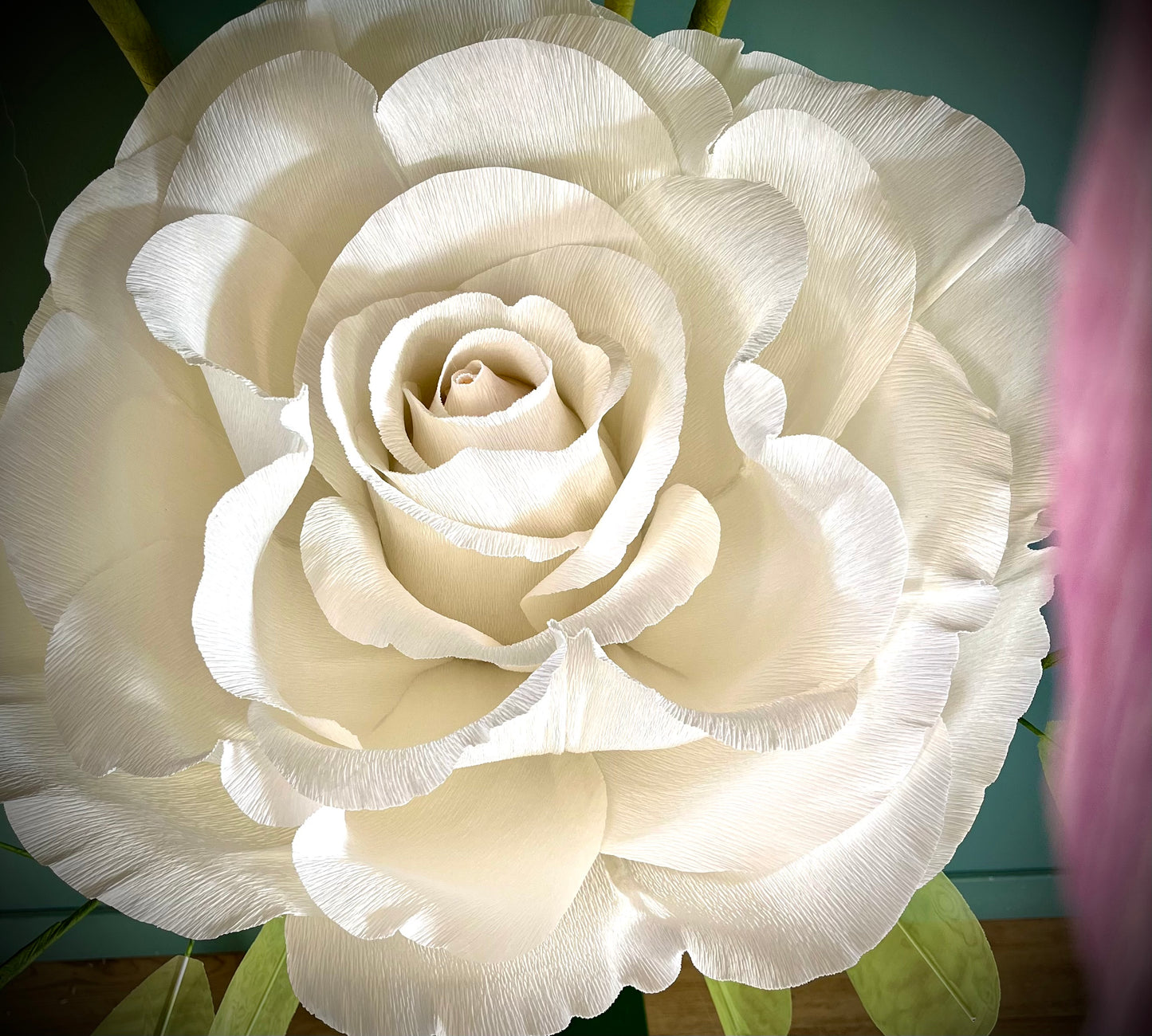 (Copie) ENSEMBLE AUGUSTINE