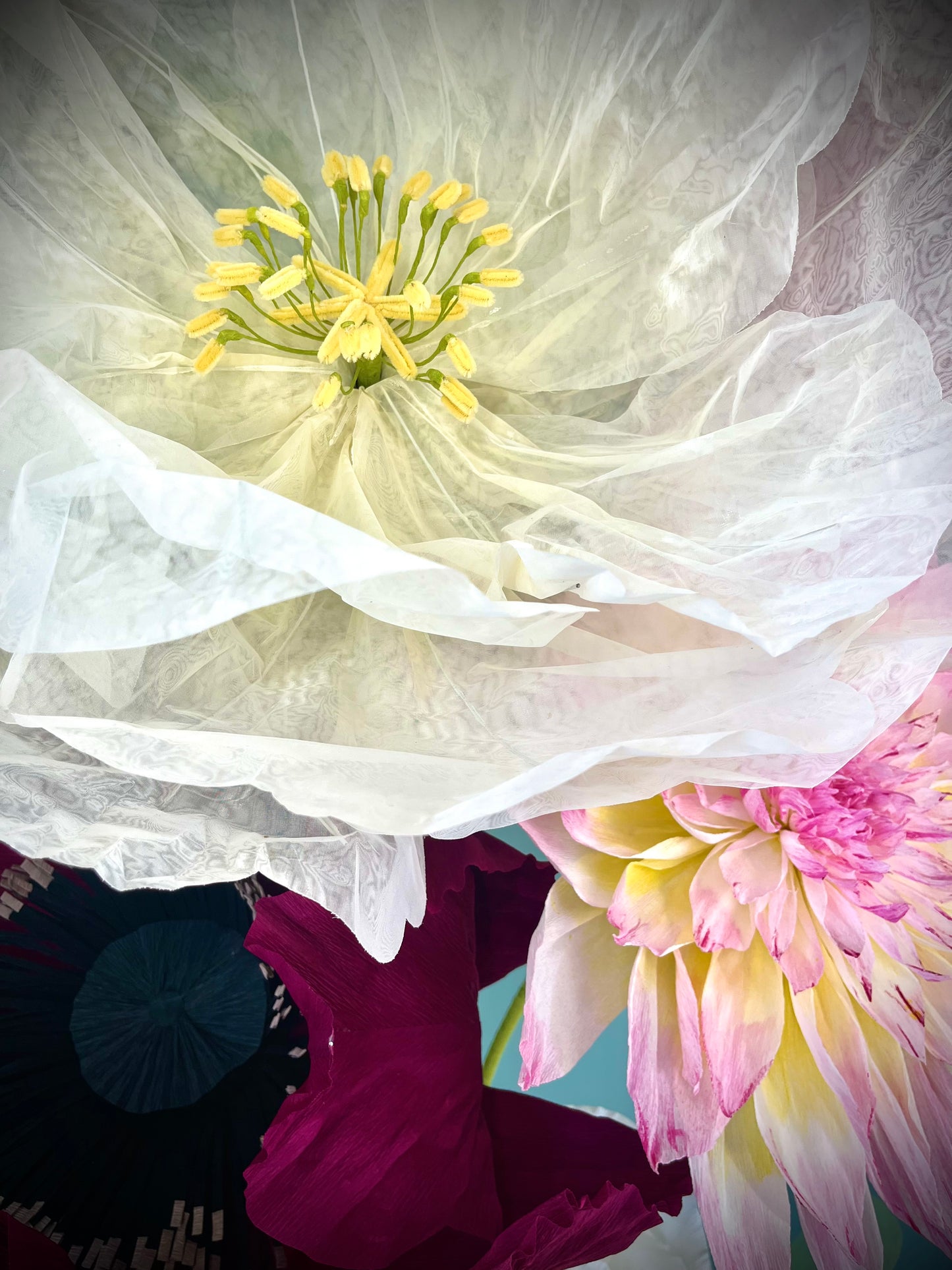 (Copie) ENSEMBLE AUGUSTINE