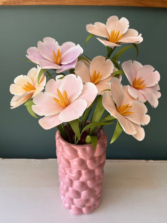 TULIPE HOLLANDAISE