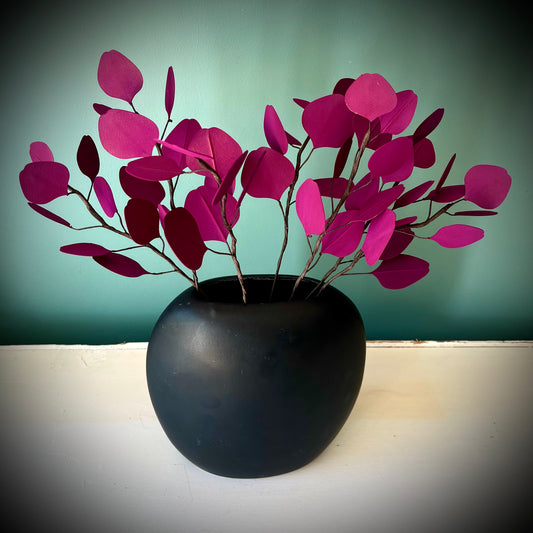 EUCALYPTUS POURPRE